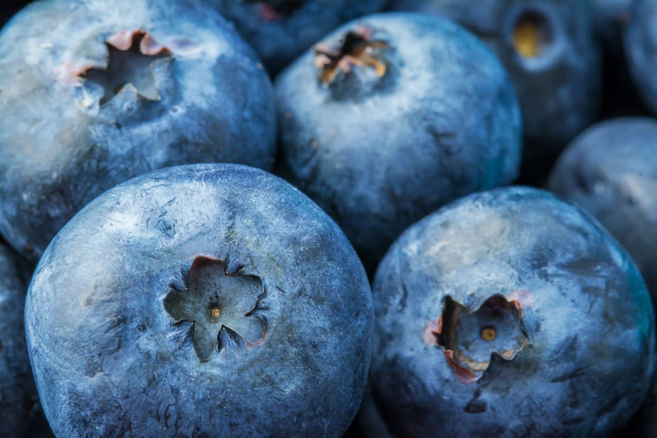Antioxidant-Rich Foods To Add To Your Diet