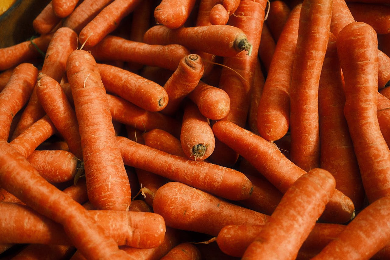Vitamin A-Rich Foods To Add To Your Diet
